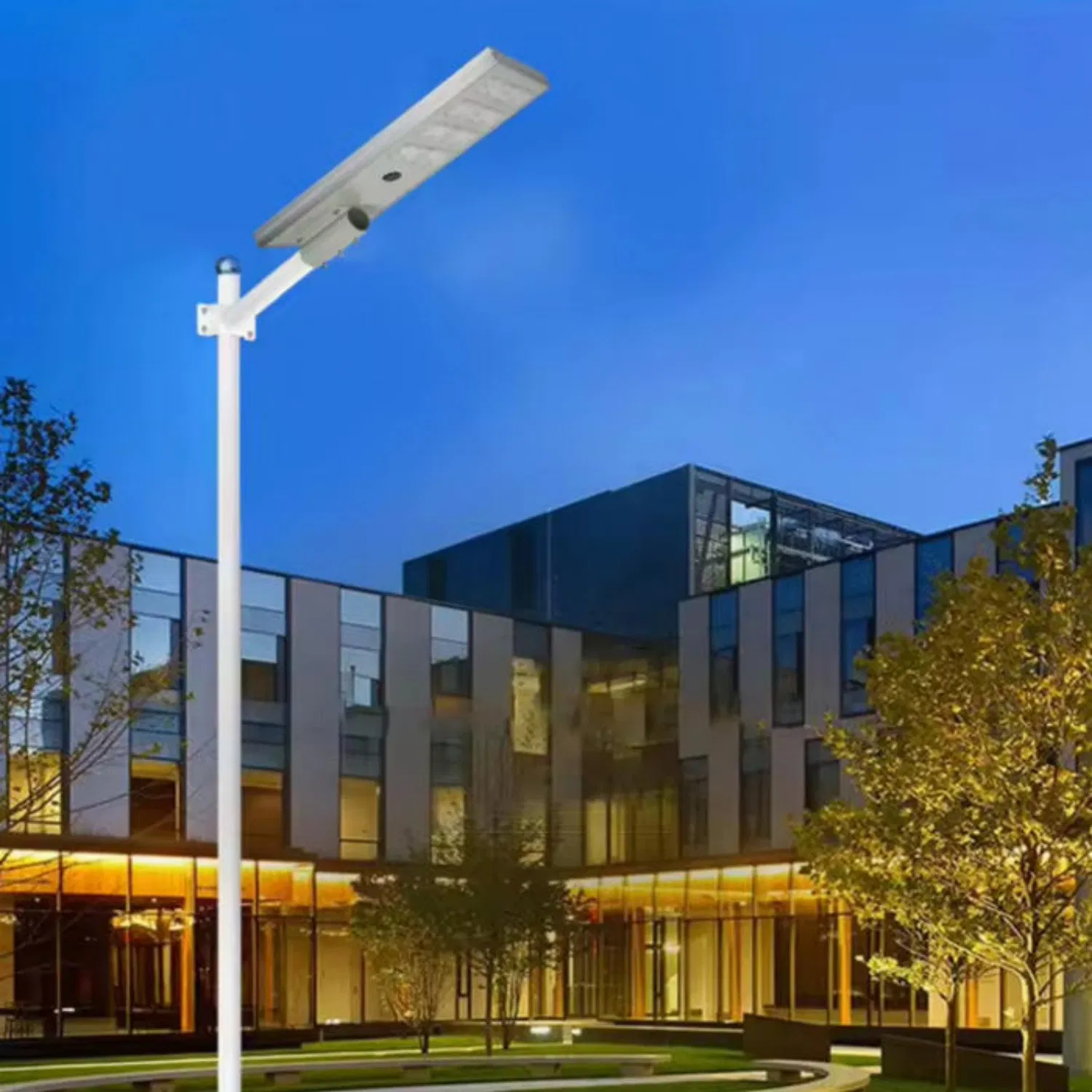 Anti Impact Anti Vibration Resist External Collision Roadside Public Facilities LED Solar Street Light