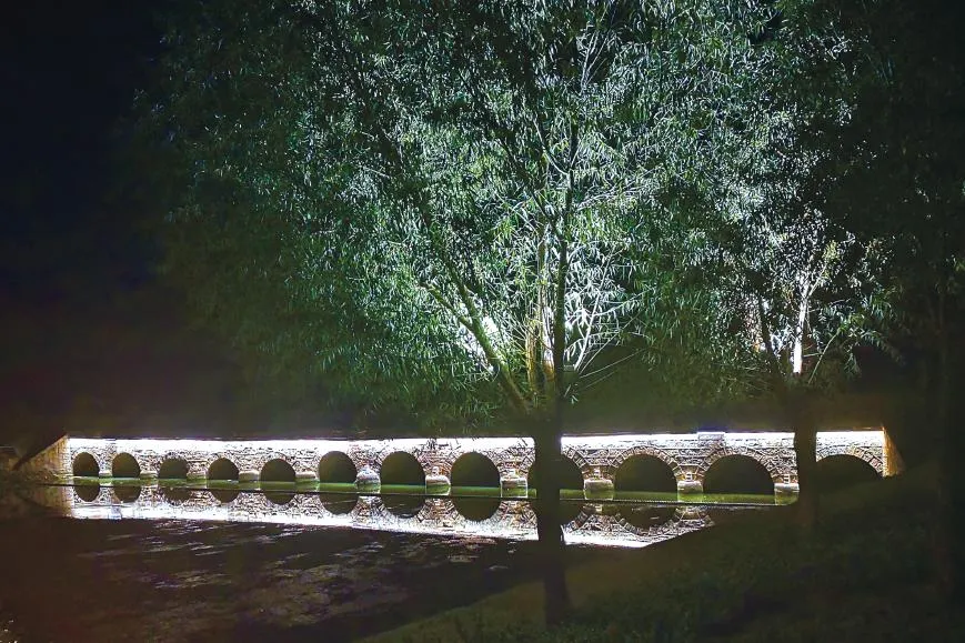 Landscape Lighting