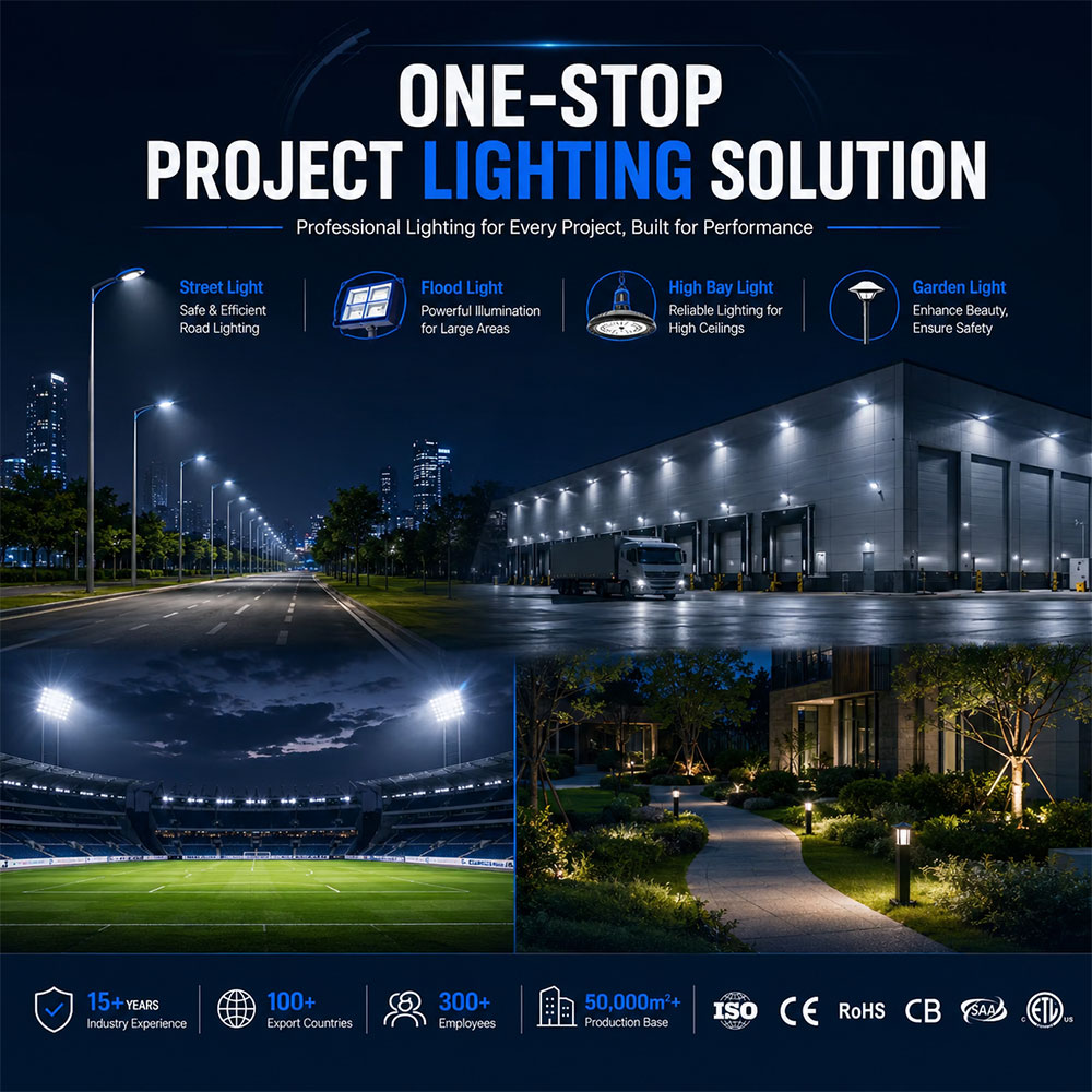 Pole Mounted Outdoor LED Street Light For Roadways Parking Lots Industrial Facilities And Logistics Yard Lighting