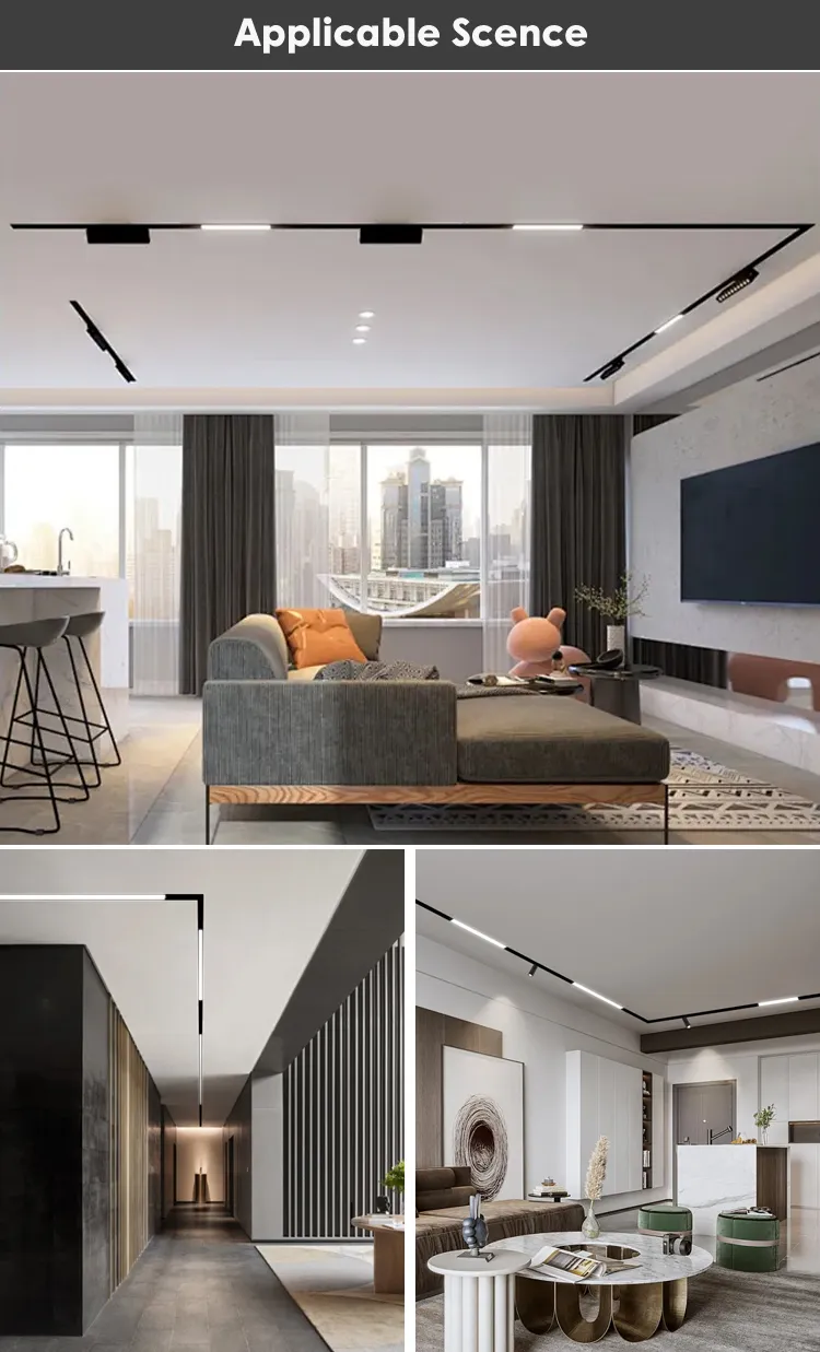 Dimmable LED Magnetic Track Light