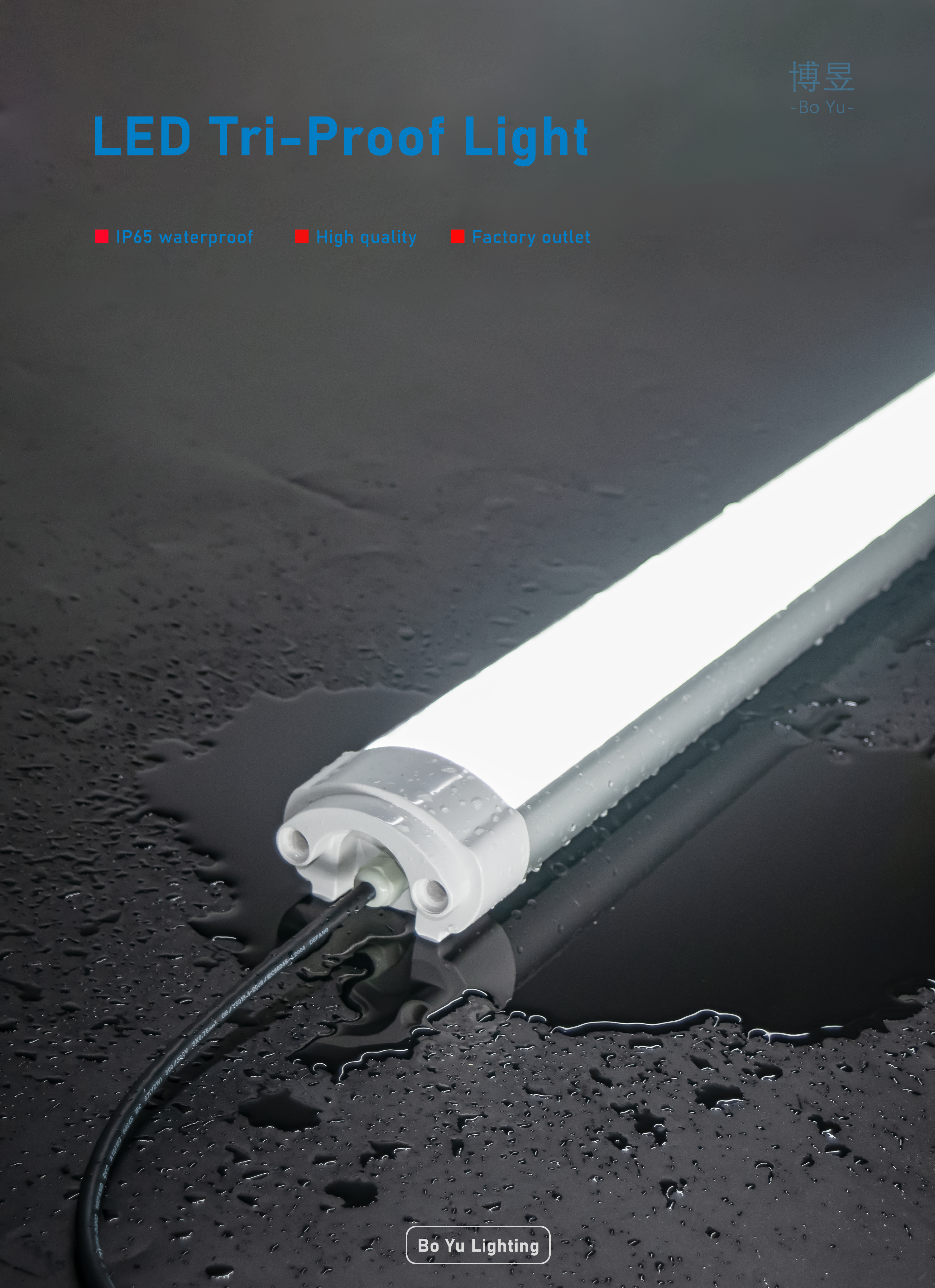 Product View 1