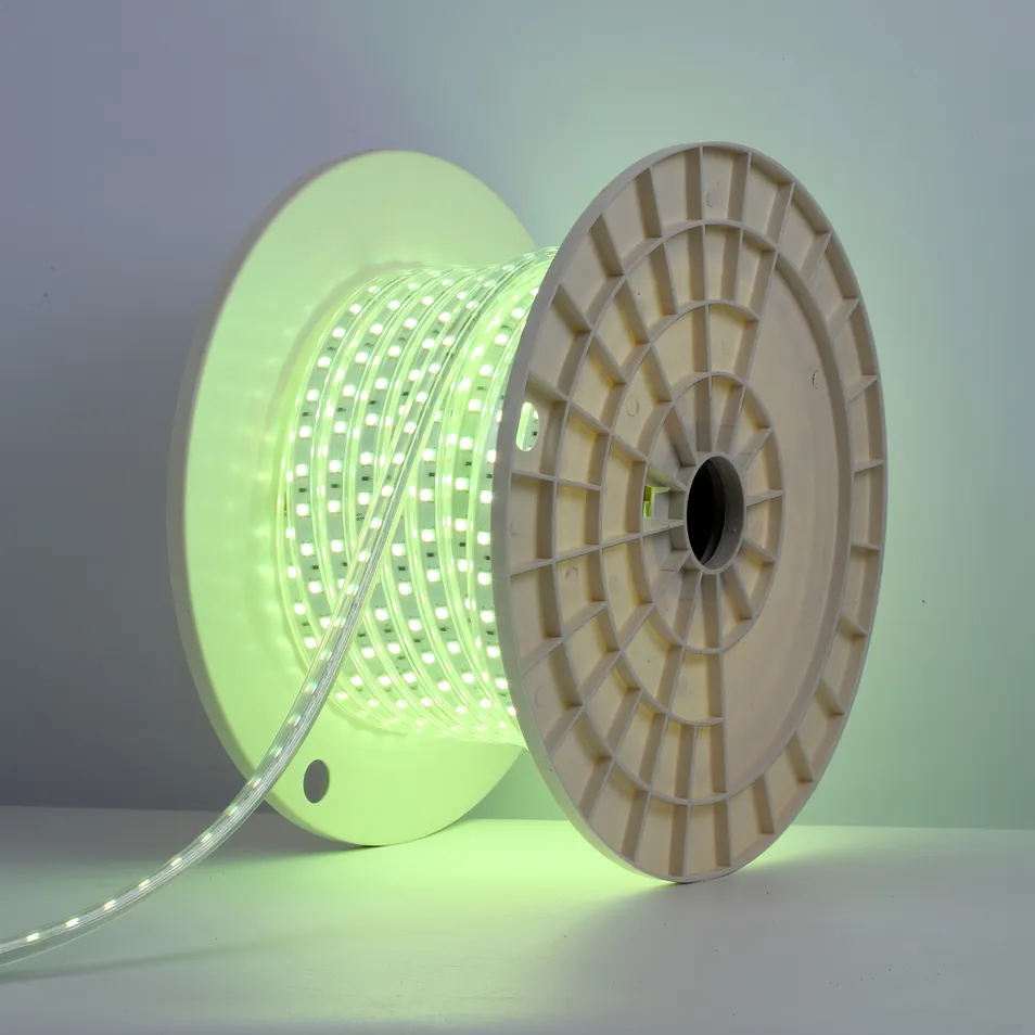High Voltage Strip SMD5050RGB 60d LED Strip Light