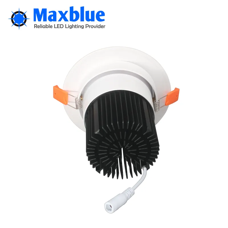 Downlight view