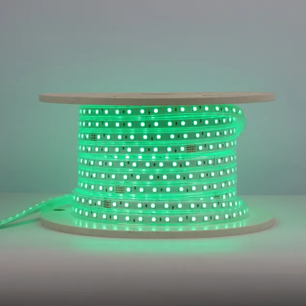 High Voltage Strip SMD5050RGB 60d LED Strip Light