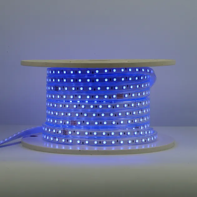 High Voltage Strip SMD5050RGB 60d LED Strip Light