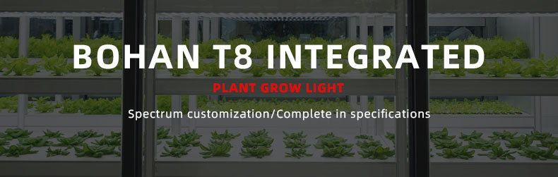 LED Grow Light Tube