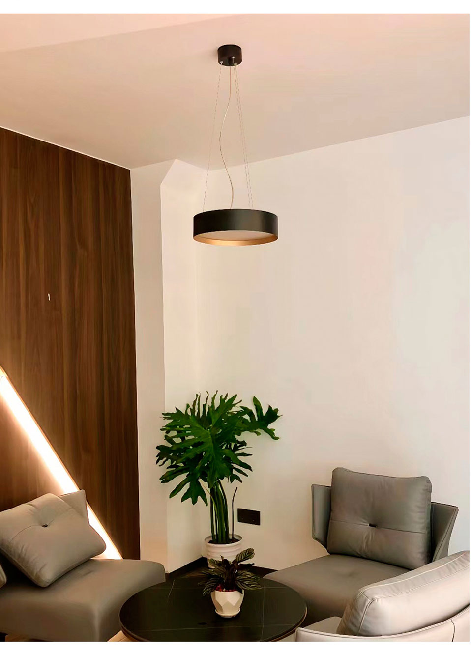 Ceiling Light Application Scene 3