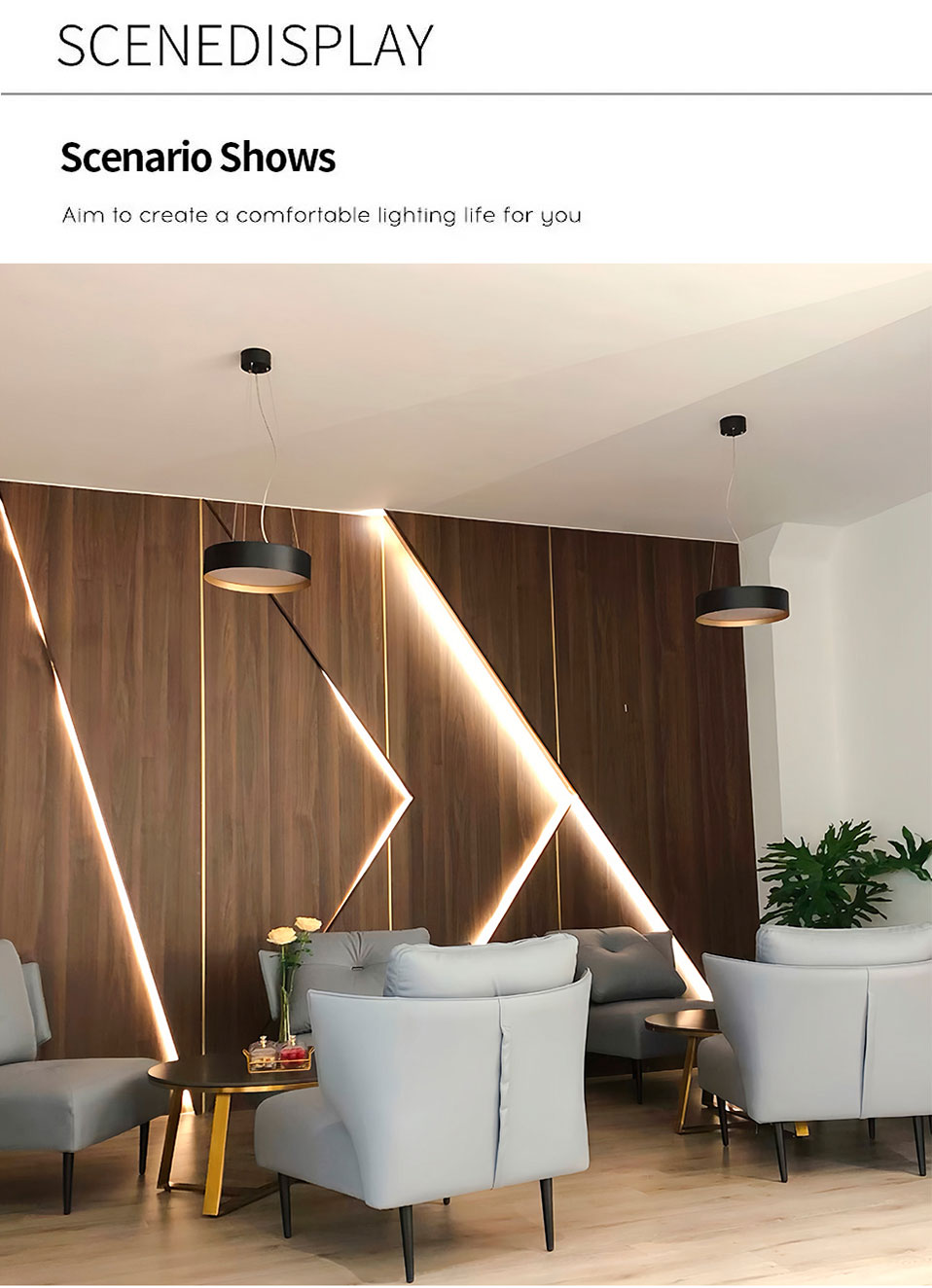 Ceiling Light Application Scene 1