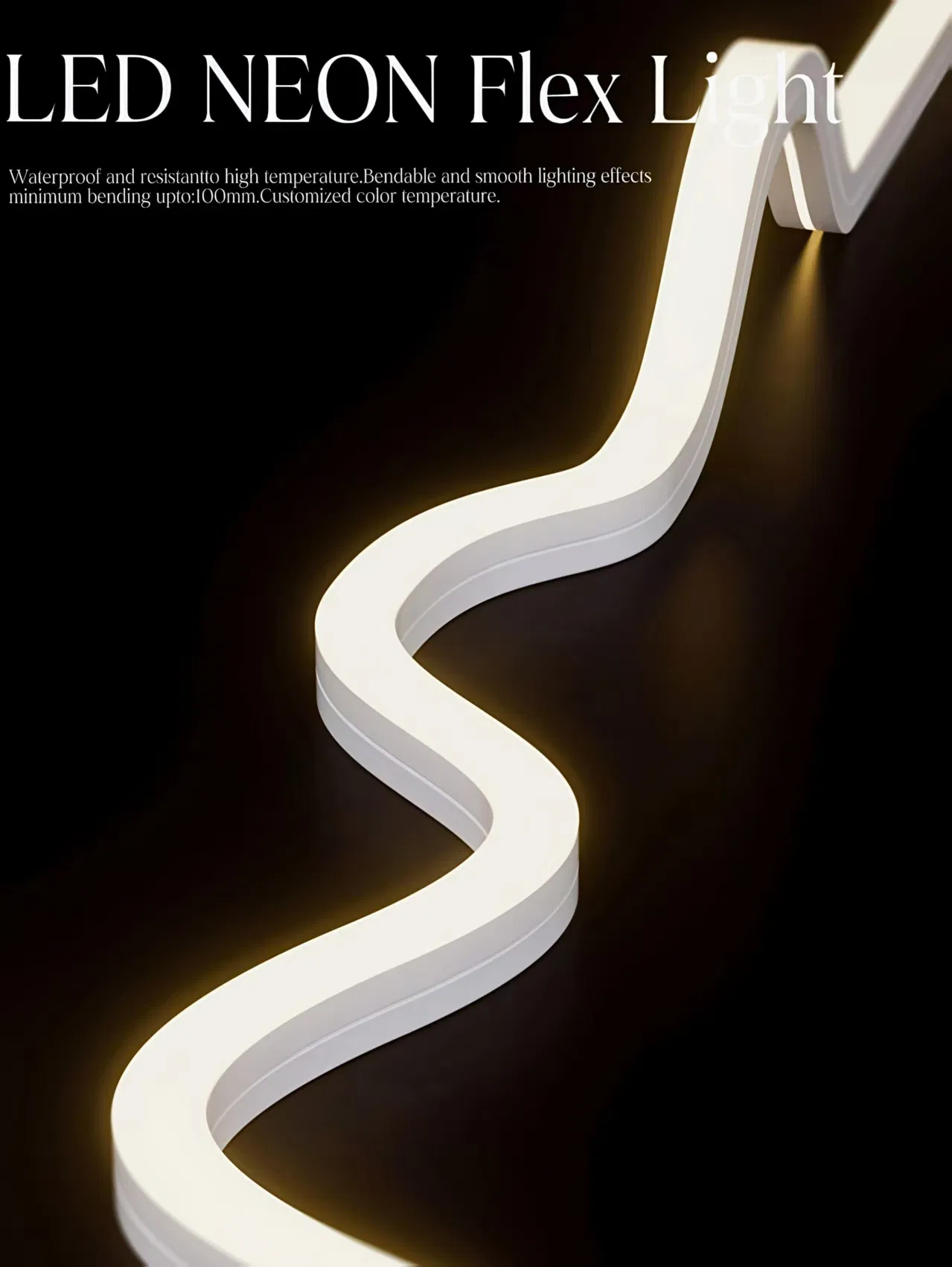 LED Neon Strip
