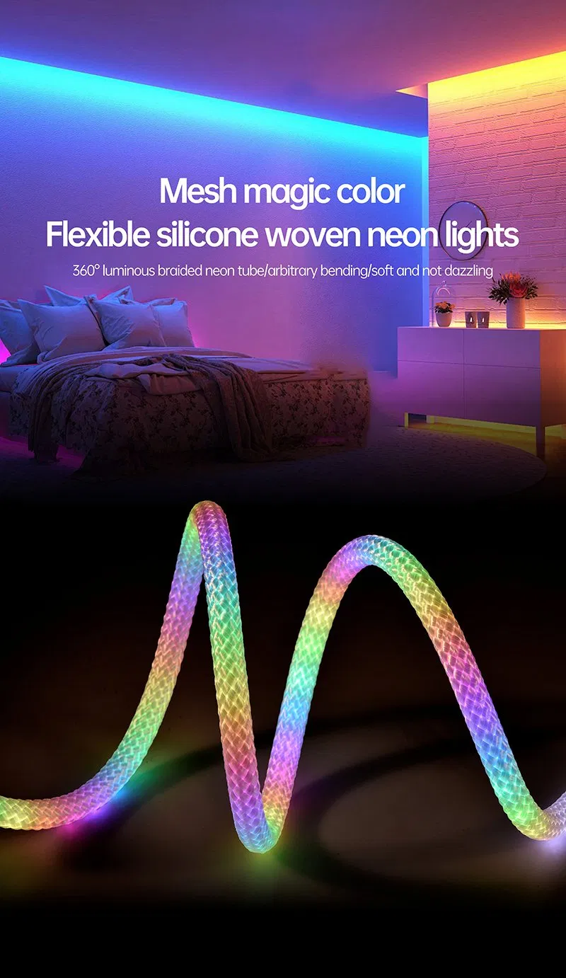 LED Neon Strip