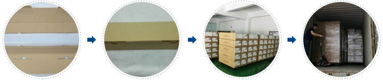 Light Dimensions and Specifications