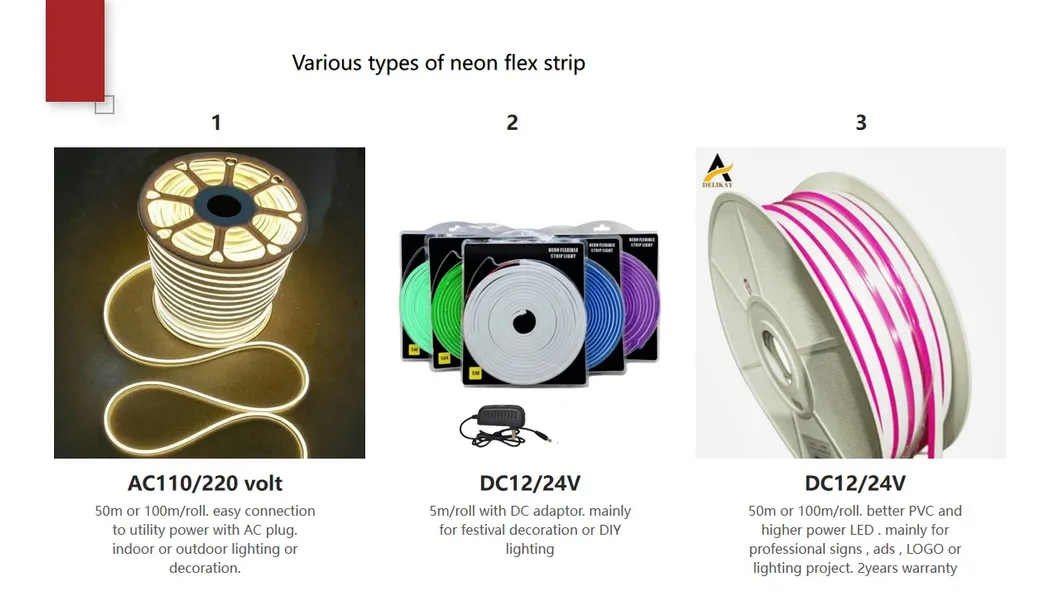 Neon Flex Application 1