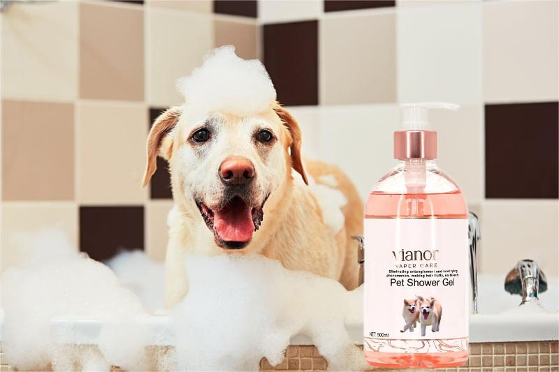 Shampoo personalizado para banho de gatos e cães com logo privado, fórmula natural sem ardor para pele sensível