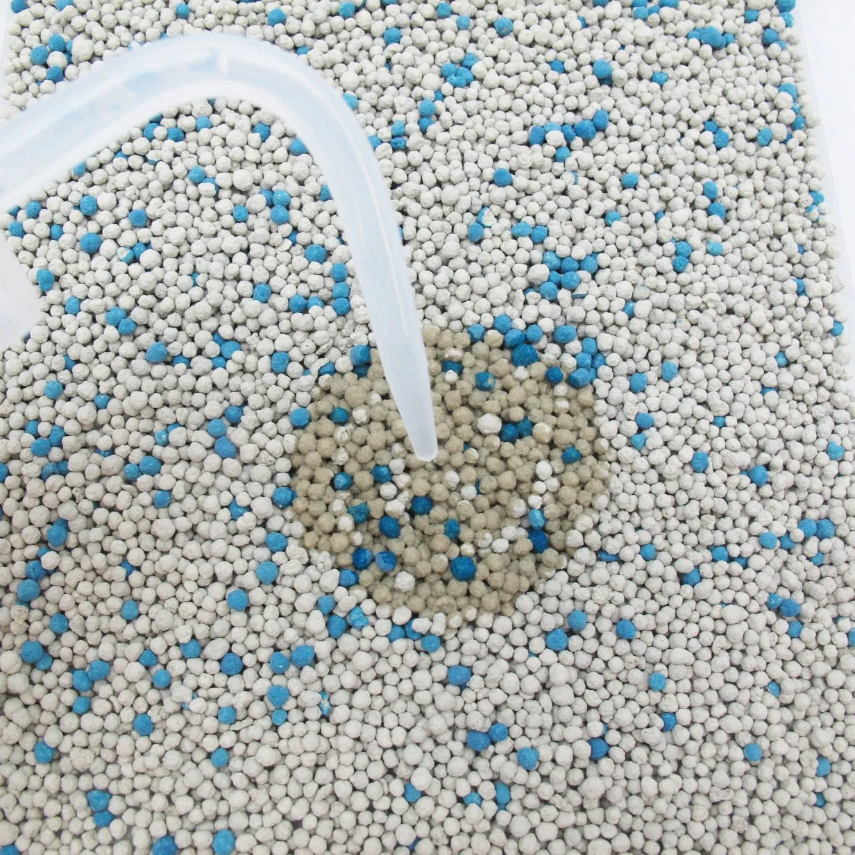 Areia para Gato de Argila Azul, Bentonita, Minérios Domésticos, Partículas de Carvão Ativado, Acessório para Animais de Estimação, Absorvente de Agregação Orgânica