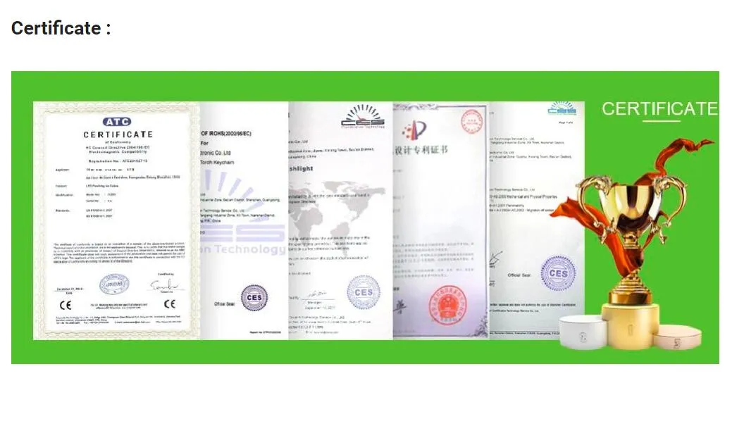 Certificado 2
