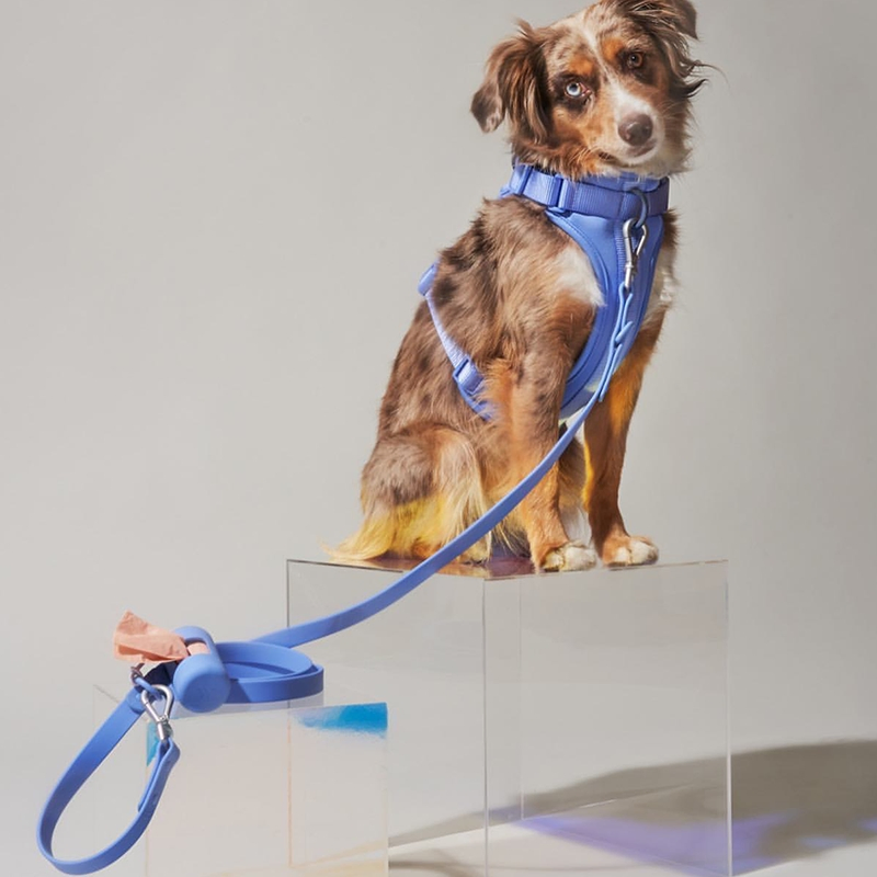 Conjunto de coleira, guia e arnês de luxo à prova d'água para cães e gatos com design personalizado