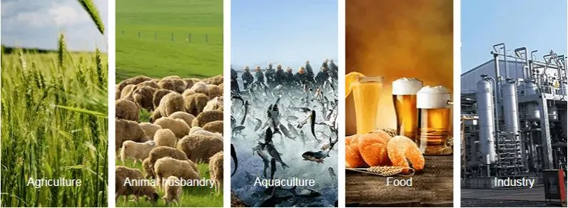 Nutrição Probiótica