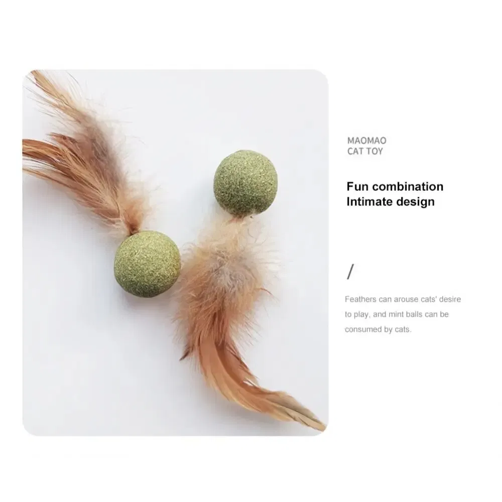 Brinquedo de Catnip para Gato - Acessório Engajador para Gato com Design de Madeira e Pena