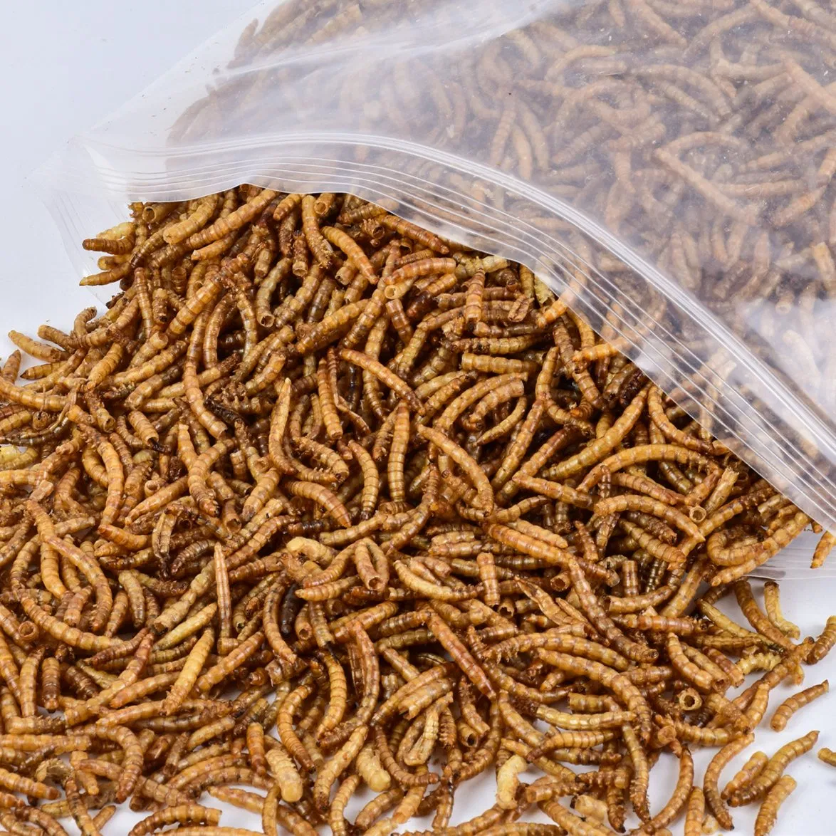 Alimento Premium Dired Yellow Mealworms em Bulk, Rico em Proteínas para Frango, Pássaro, Tartaruga e Peixe Dourado