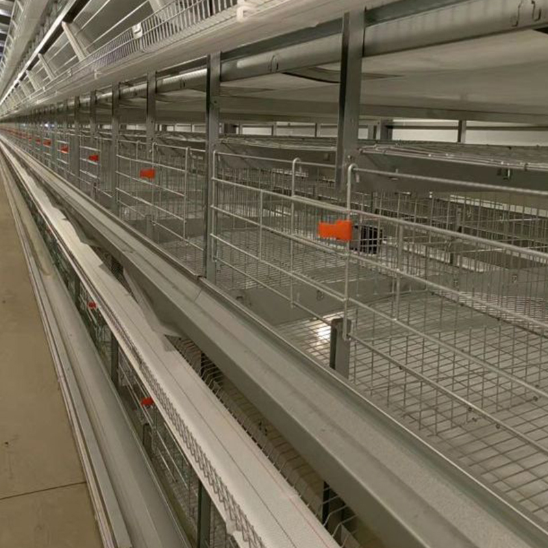 Fabricantes chineses atacado gaiola de frango em bateria de camada de escada galvanizada a quente para criação em fazenda