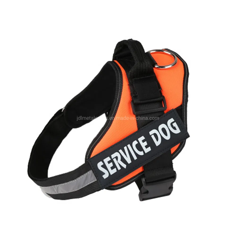 Coleira e Guia para Cão e Gato com Padrão Personalizado de Flores, Personalize seu Próprio Logo, Design Único em Poliéster e Nylon