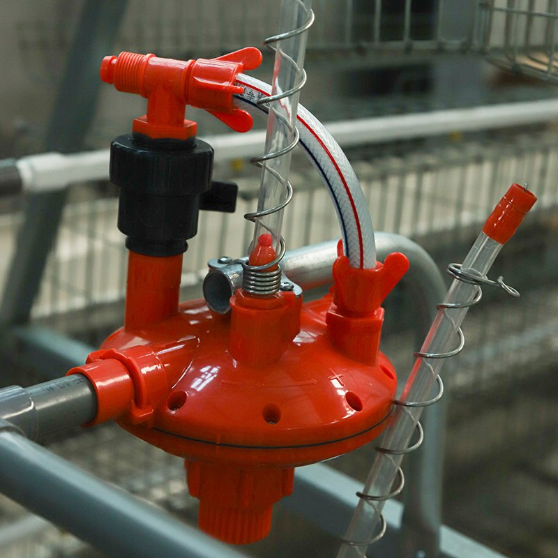 Gaiola de Bateria para Galinhas Poedeiras Equipamento de Criação de Aves