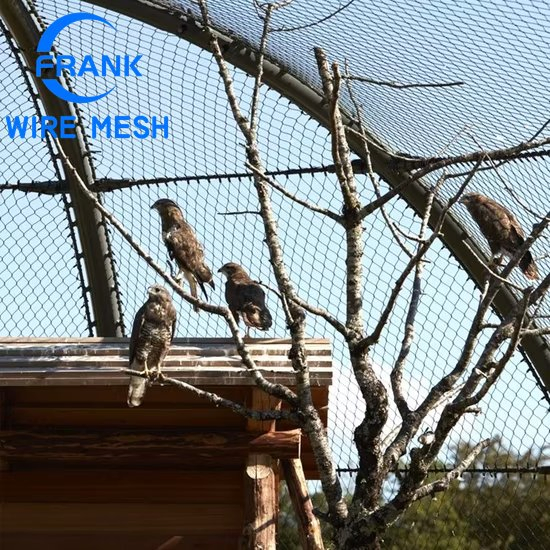 Rede de Avestruz Durável Estrutura Geral de Aves Aviário Rede de Aço Inoxidável Barreira de Aves Rede de Segurança