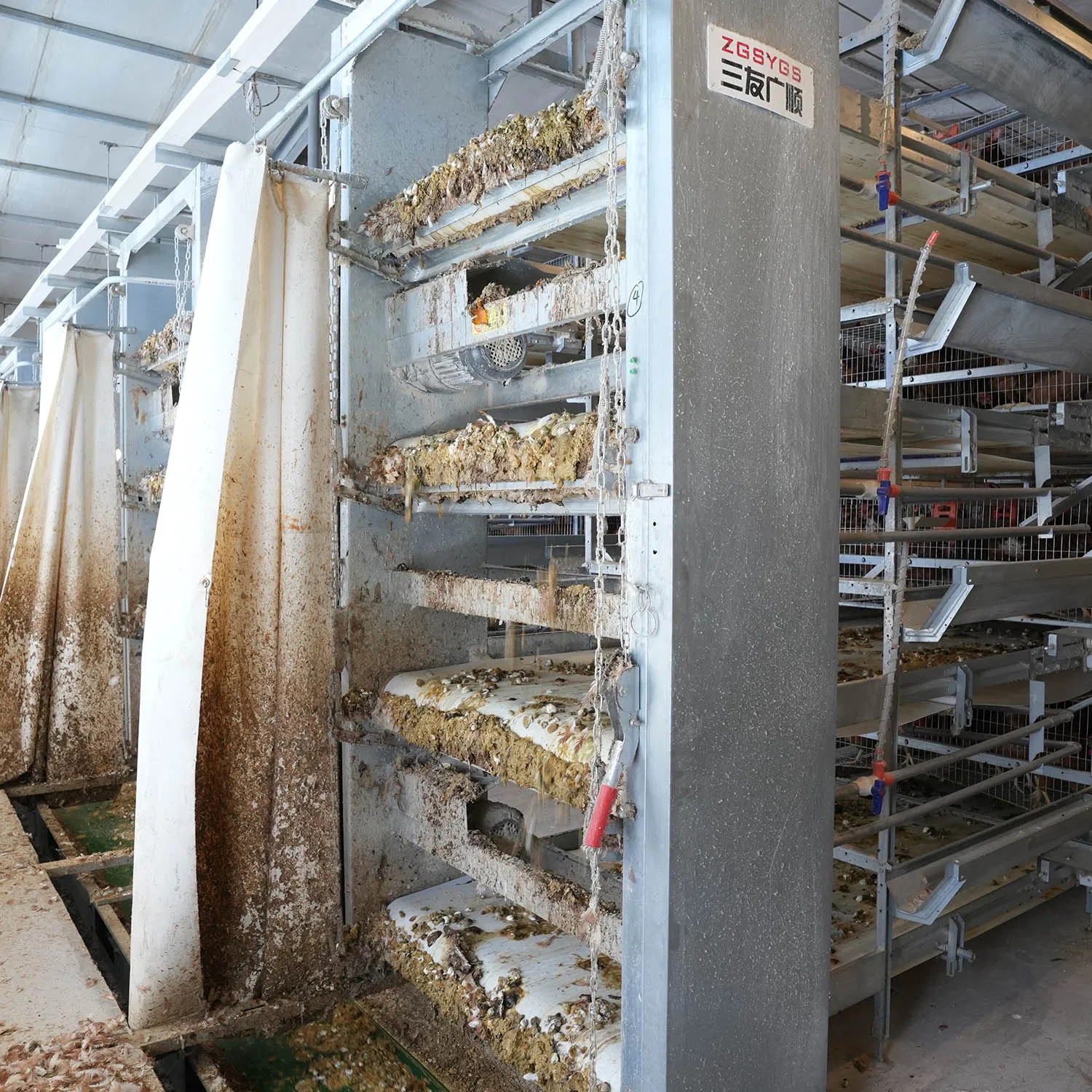 Equipamento de Pecuária OEM Máquinas de Agricultura Avícola Gaiola para Postura de Ovos para Frangos
