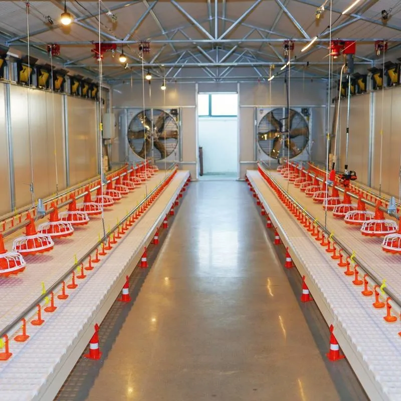 Alimentador automático de aves 2