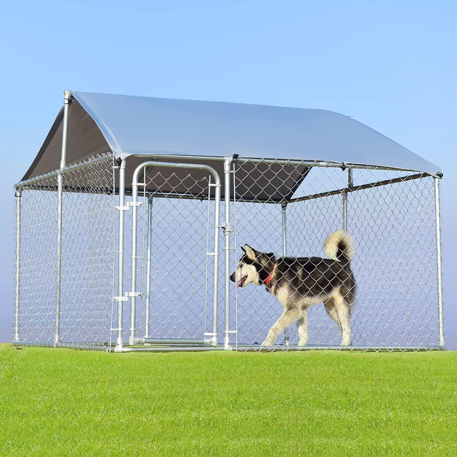 Cerca para Cães Feita na China Corrida de Cães Canil Barato 6FT Canil Modular