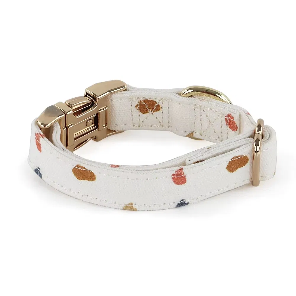 Conjunto de Coleira e Guia para Cães à Prova d'Água com Design Personalizado em Várias Cores com Webbing Revestido em PVC para Fornecimento de Animais de Estimação