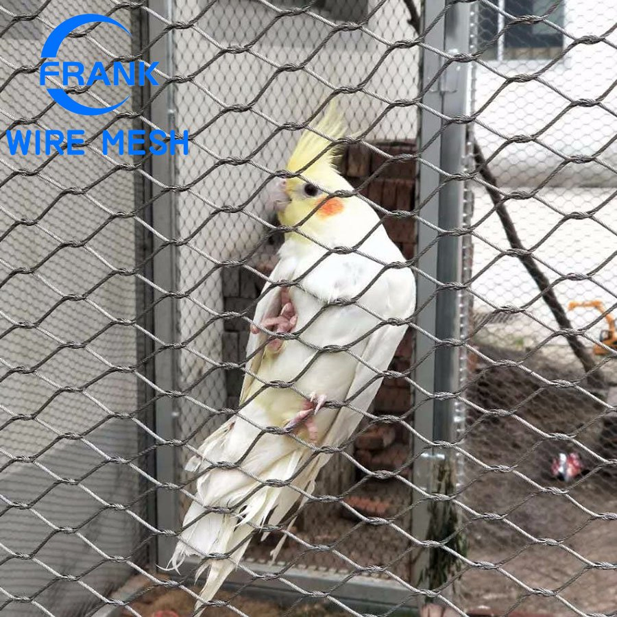 Rede de Avestruz Durável Estrutura Geral de Aves Aviário Rede de Aço Inoxidável Barreira de Aves Rede de Segurança