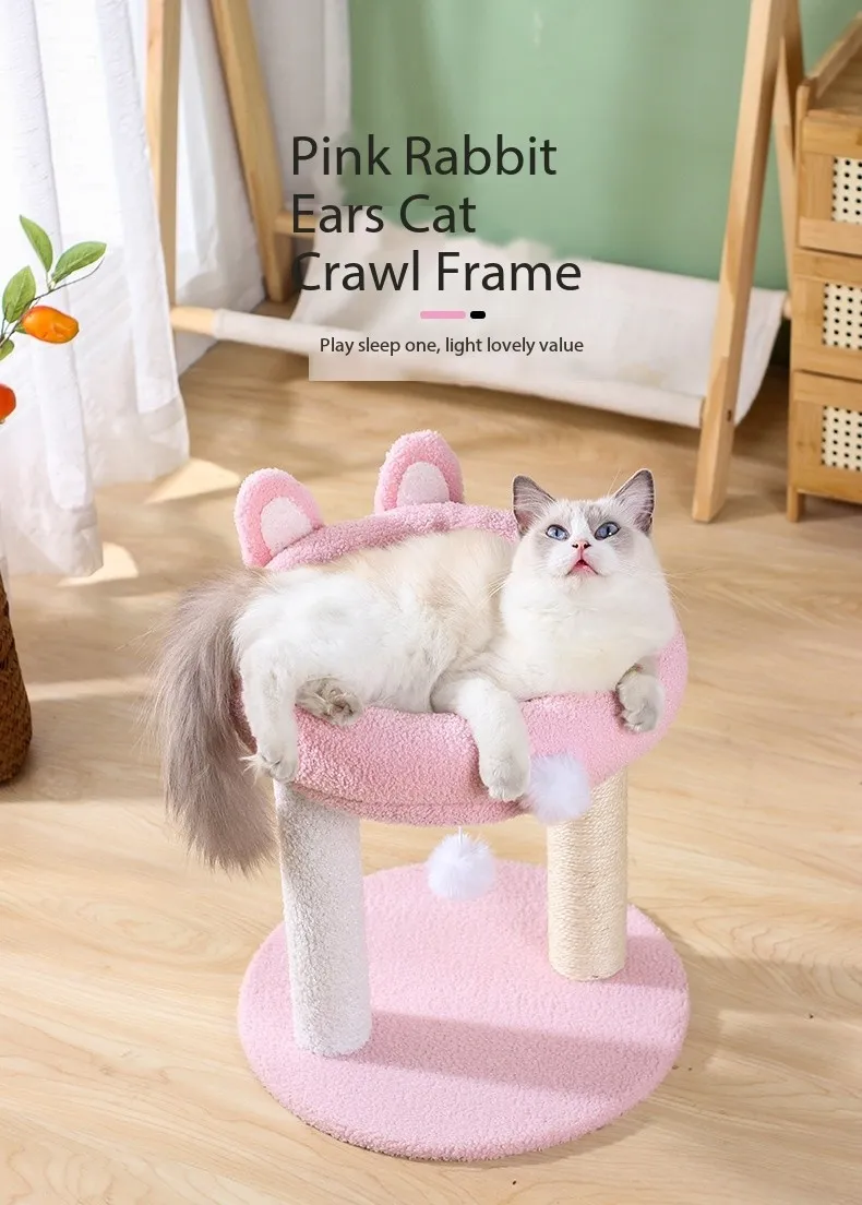 Árvore de Gato