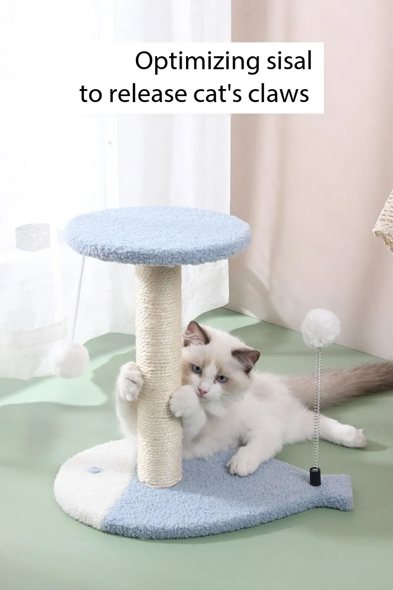 Atividade para Gatos