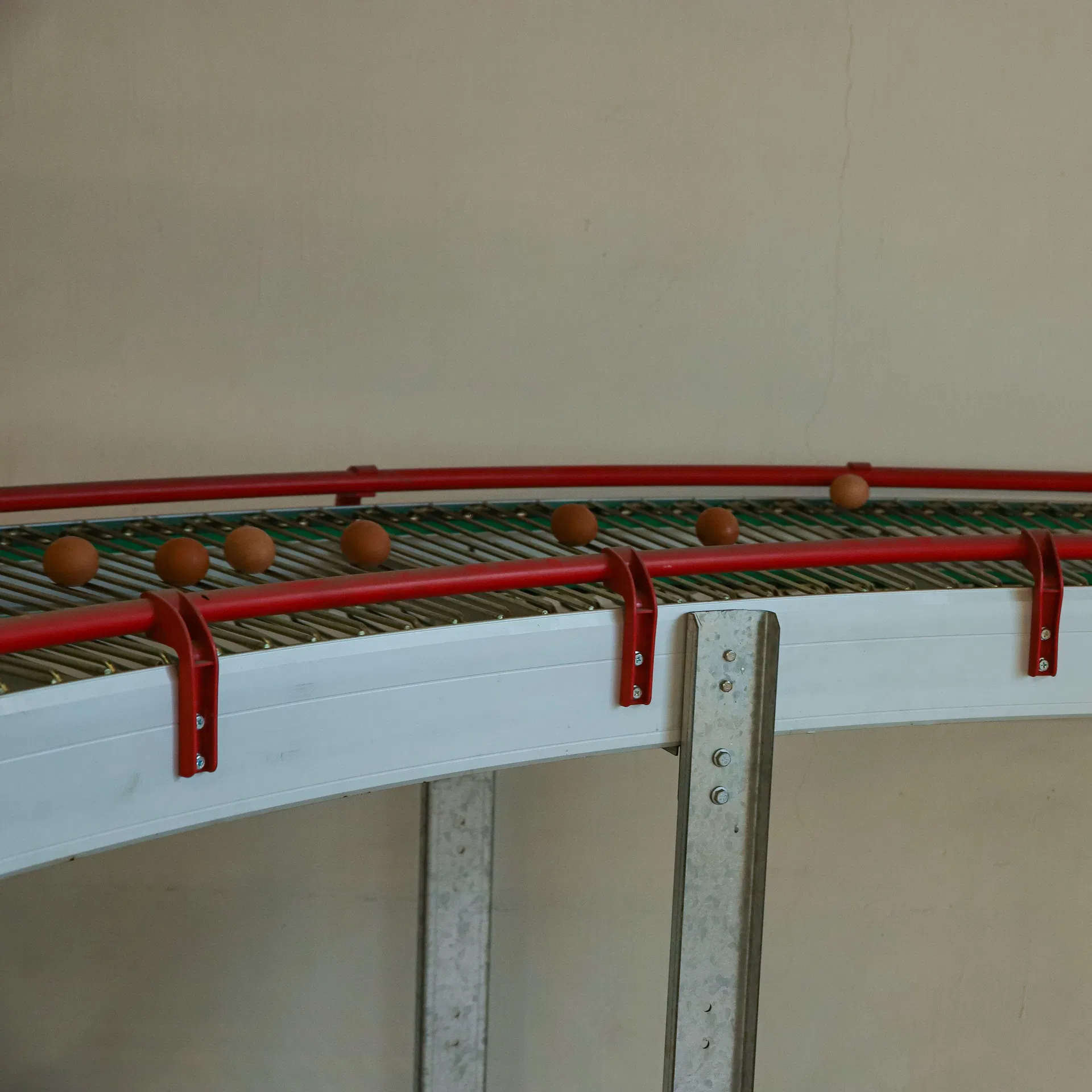 Gaiola 1