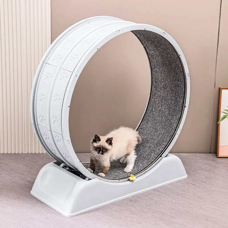 Brinquedos para Gato