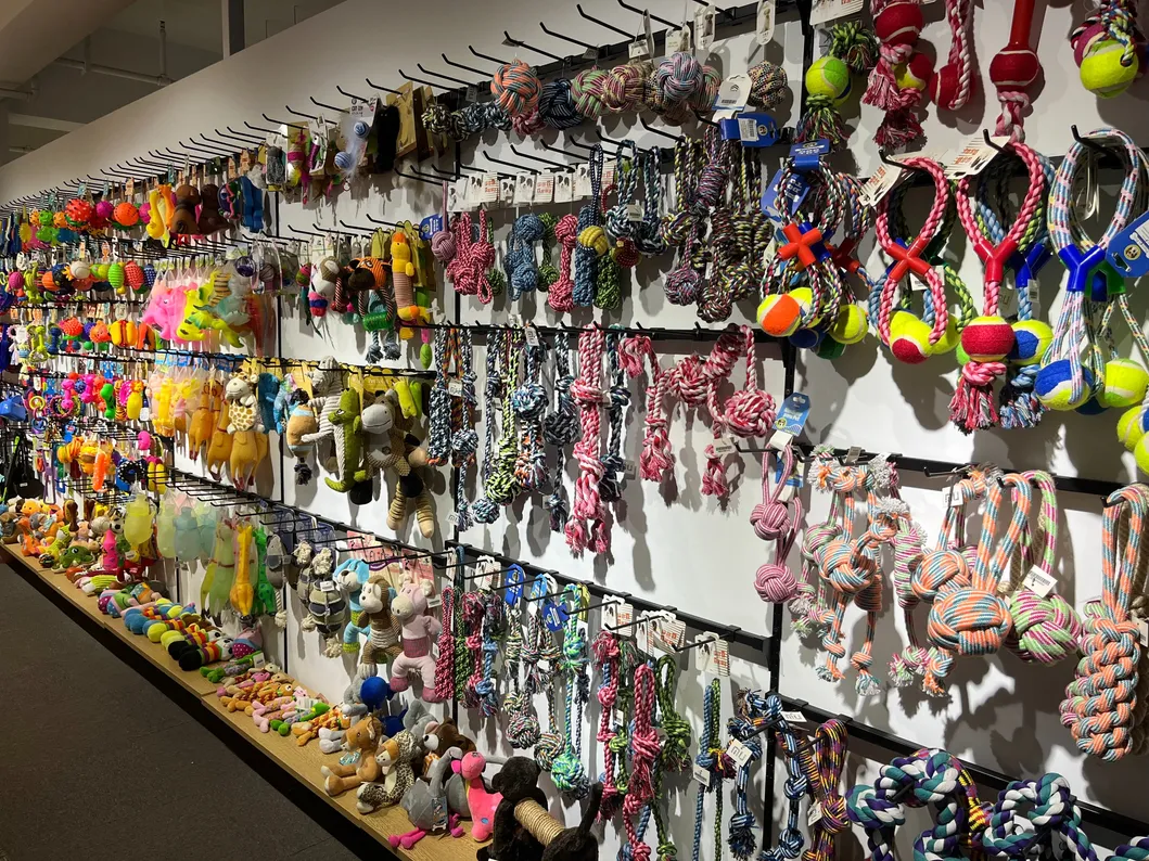 Showroom 3