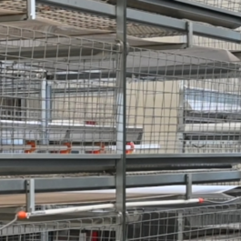 Carrinho Automático de Colheita de Pássaros Tipo Escada para Alimentação de Gaiola de Frango de Corte com Bateria