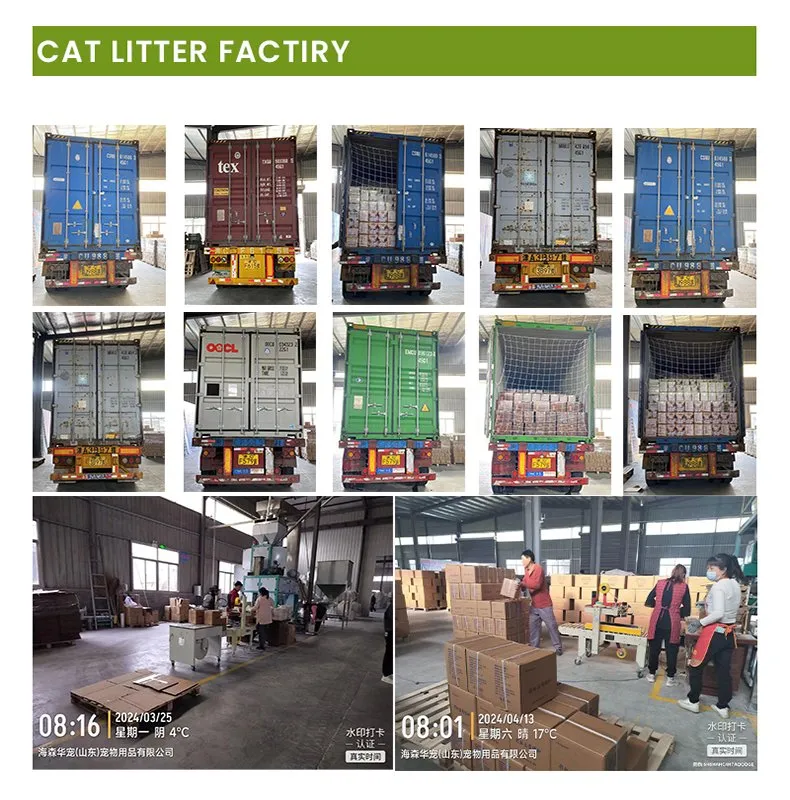 Kit de Acessórios para Arranhador de Gato Hf-Pet Premium 50PCS