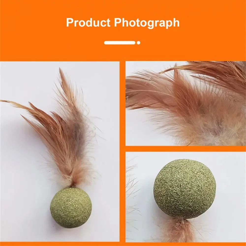 Brinquedo de Catnip para Gato - Acessório Engajador para Gato com Design de Madeira e Pena