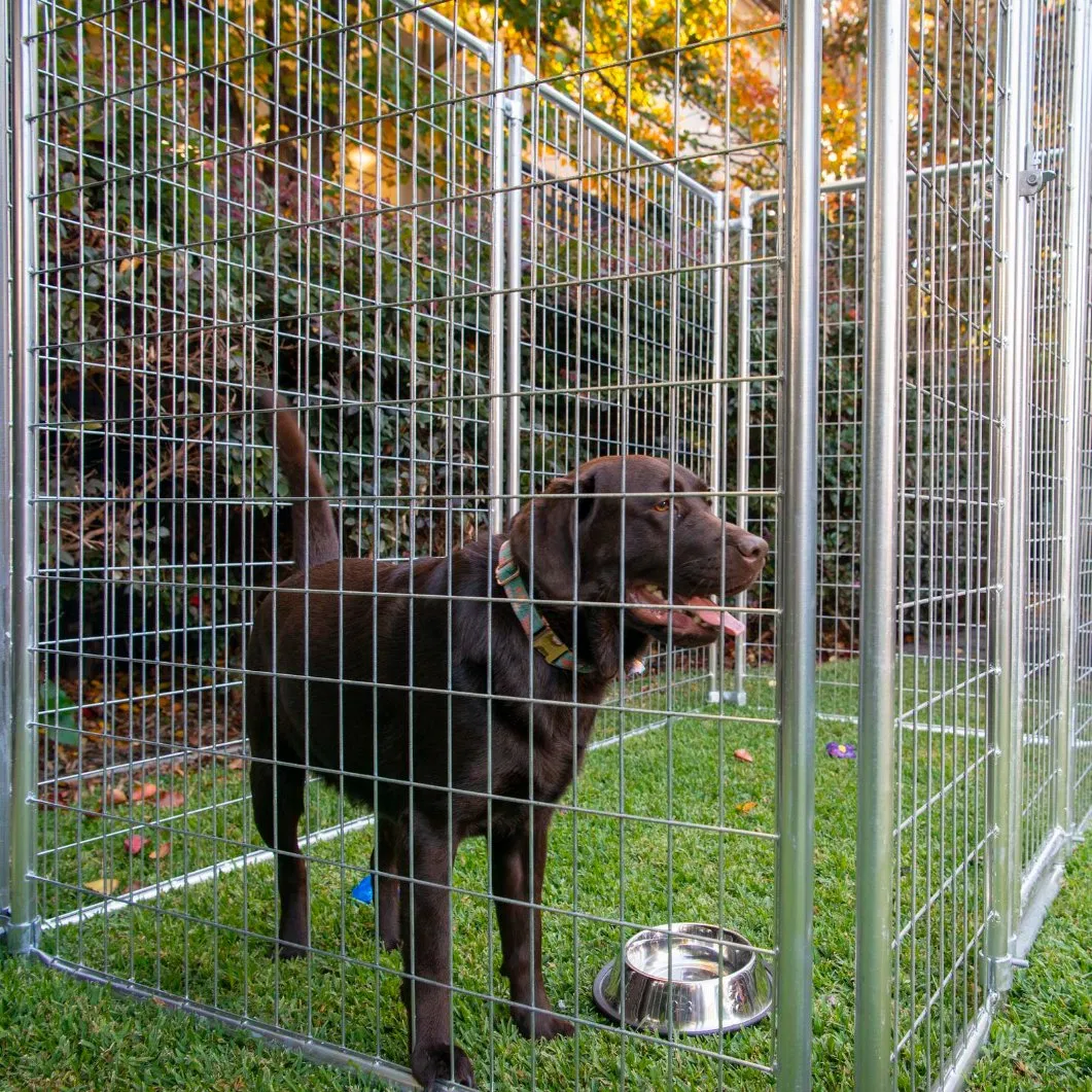 Cerca para Cães Feita na China Corrida de Cães Canil Barato 6FT Canil Modular