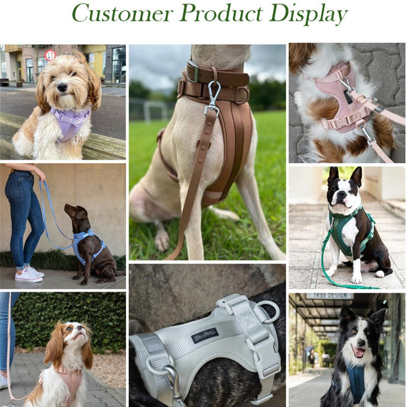 Conjunto de coleira, guia e arnês de luxo à prova d'água para cães e gatos com design personalizado
