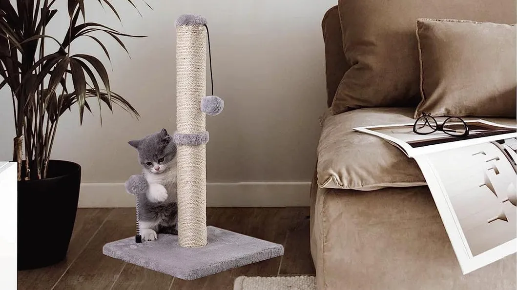 Arranhador Gato 5