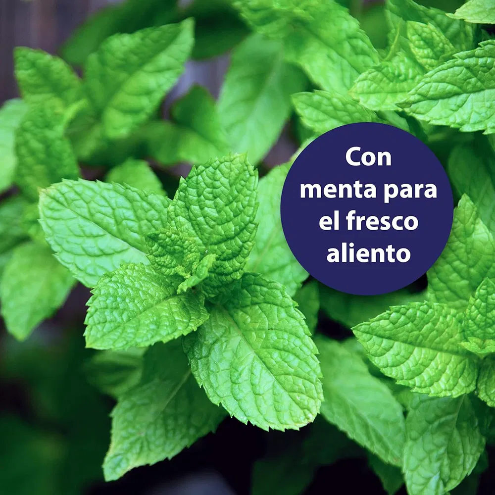 Spray Dental para Gatos e Cães com Menta Natural para Mau Hálito
