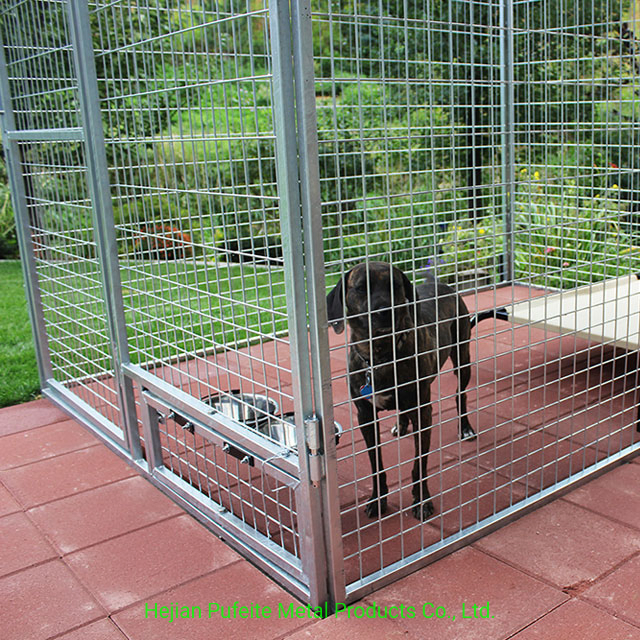 Canis múltiplos para cães em aço inoxidável para ambientes internos e externos