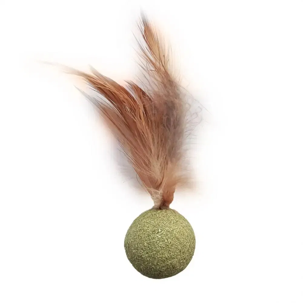 Brinquedo Ecológico para Gato - Acessório de Madeira e Pena com Catnip para Hora de Brincar