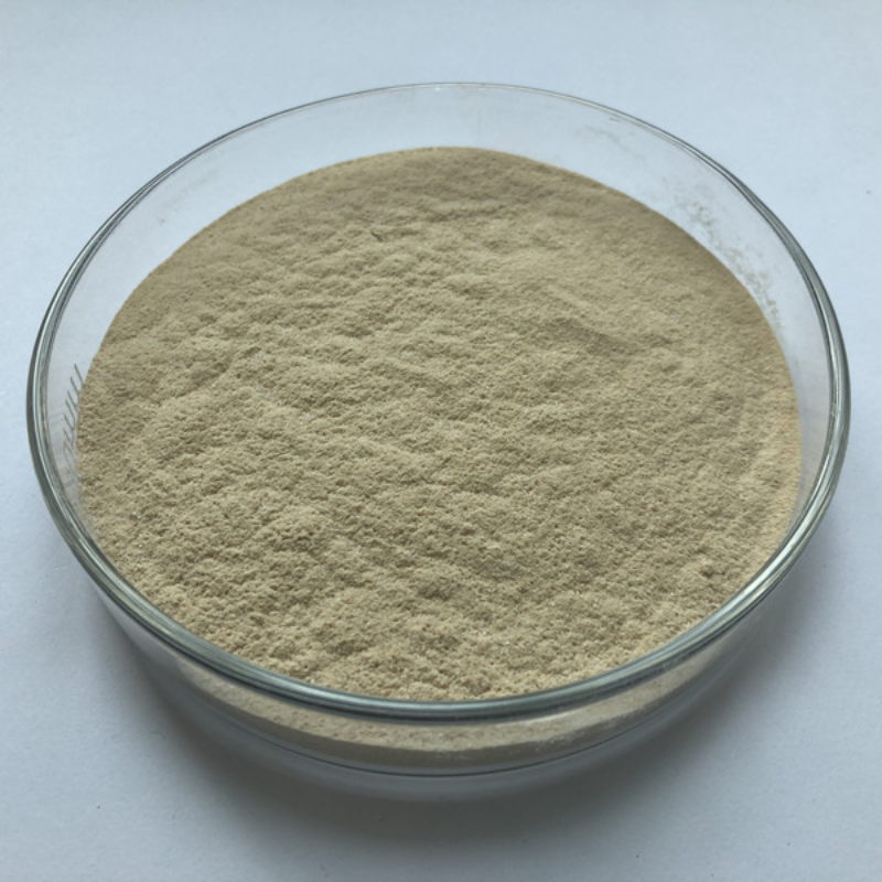 Elevar o Crescimento, Apoiar o Equilíbrio Imunológico, Alimento de Clostridium Butyricum, Nutrição Probiótica Infundida