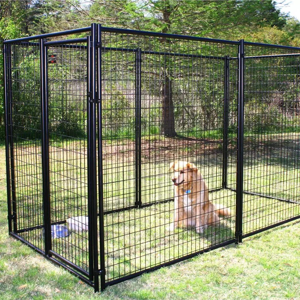 Cerca para Cães Feita na China Corrida de Cães Canil Barato 6FT Canil Modular