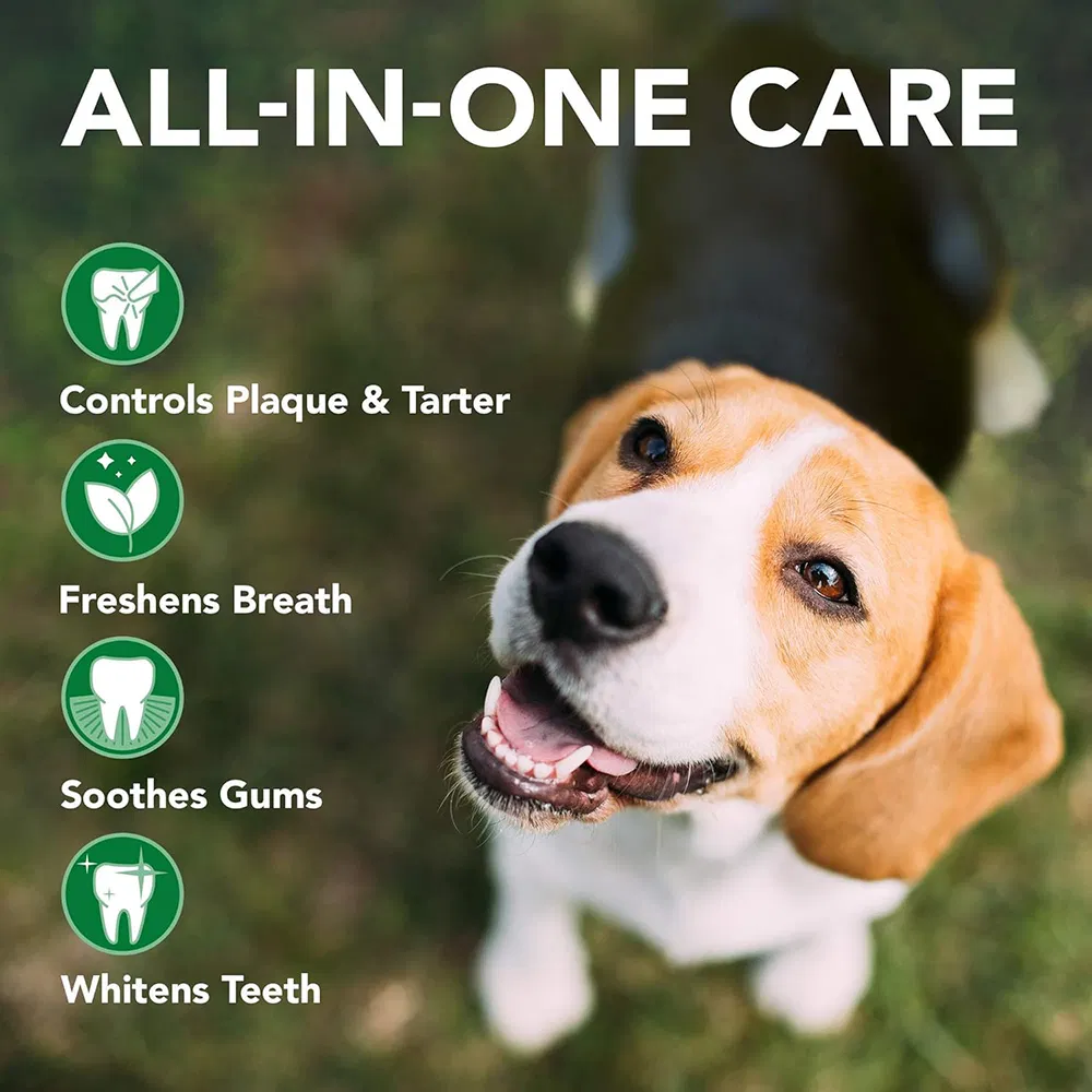 Spray de Limpeza de Dentes para Cães e Gatos OEM ODM