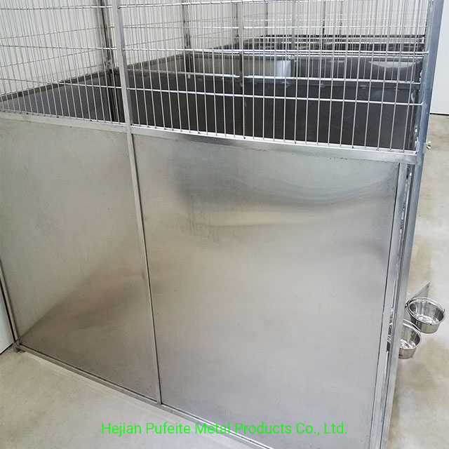 Canis múltiplos para cães em aço inoxidável para ambientes internos e externos